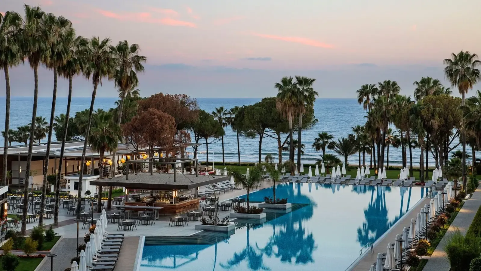 Acanthus-Cennet-Barut-Collection-transfer.webp