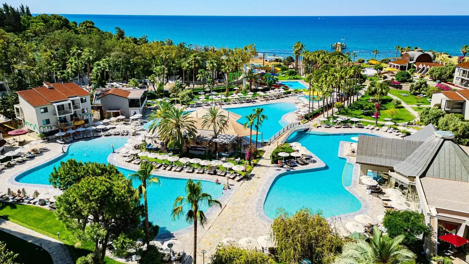 transfer-arum-barut-collection.webp